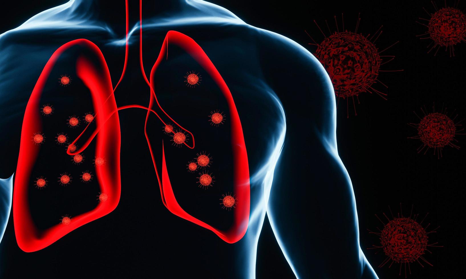 l'immagine a raggi X del corpo mostra i polmoni distrutti dal virus covid-19. polmoni attaccati dal coronavirus. sistema respiratorio. dall'epidemia. rendering 3D. foto