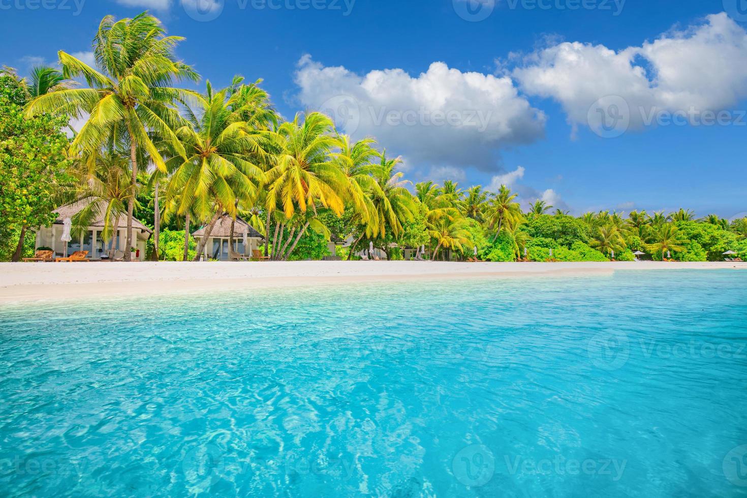 bellissimo banner spiaggia tropicale. sabbia bianca e palme da cocco, concetto di sfondo panoramico ampio turismo di viaggio. incredibile paesaggio sulla spiaggia. natura dell'isola di lusso, vacanze avventurose o vacanze, foto