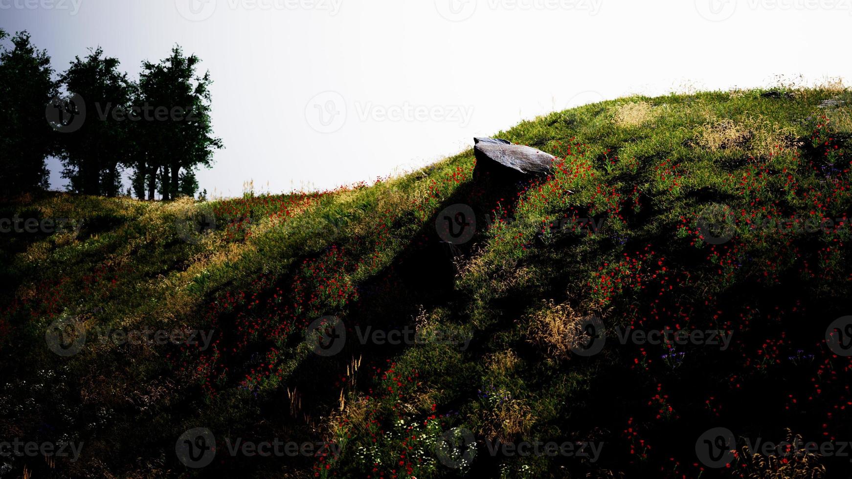 paesaggio idilliaco delle Alpi con prati verdi e freschi e fiori che sbocciano foto