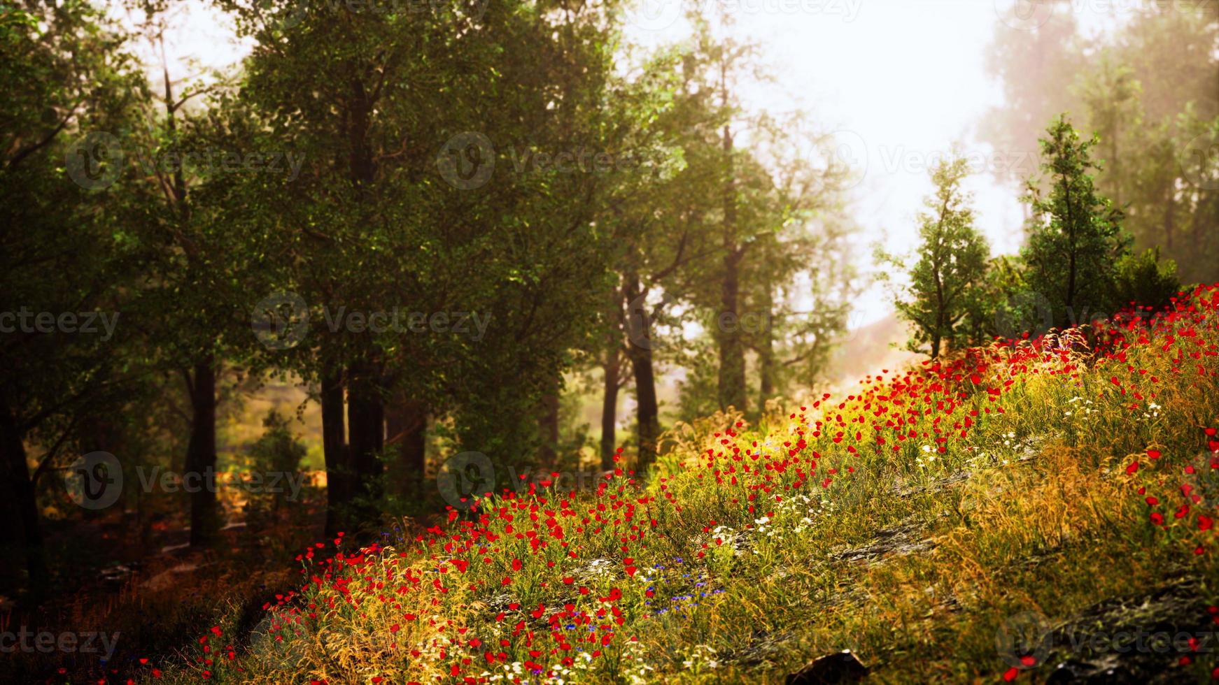 splendida vista sull'idilliaco paesaggio alpino con prati fioriti foto