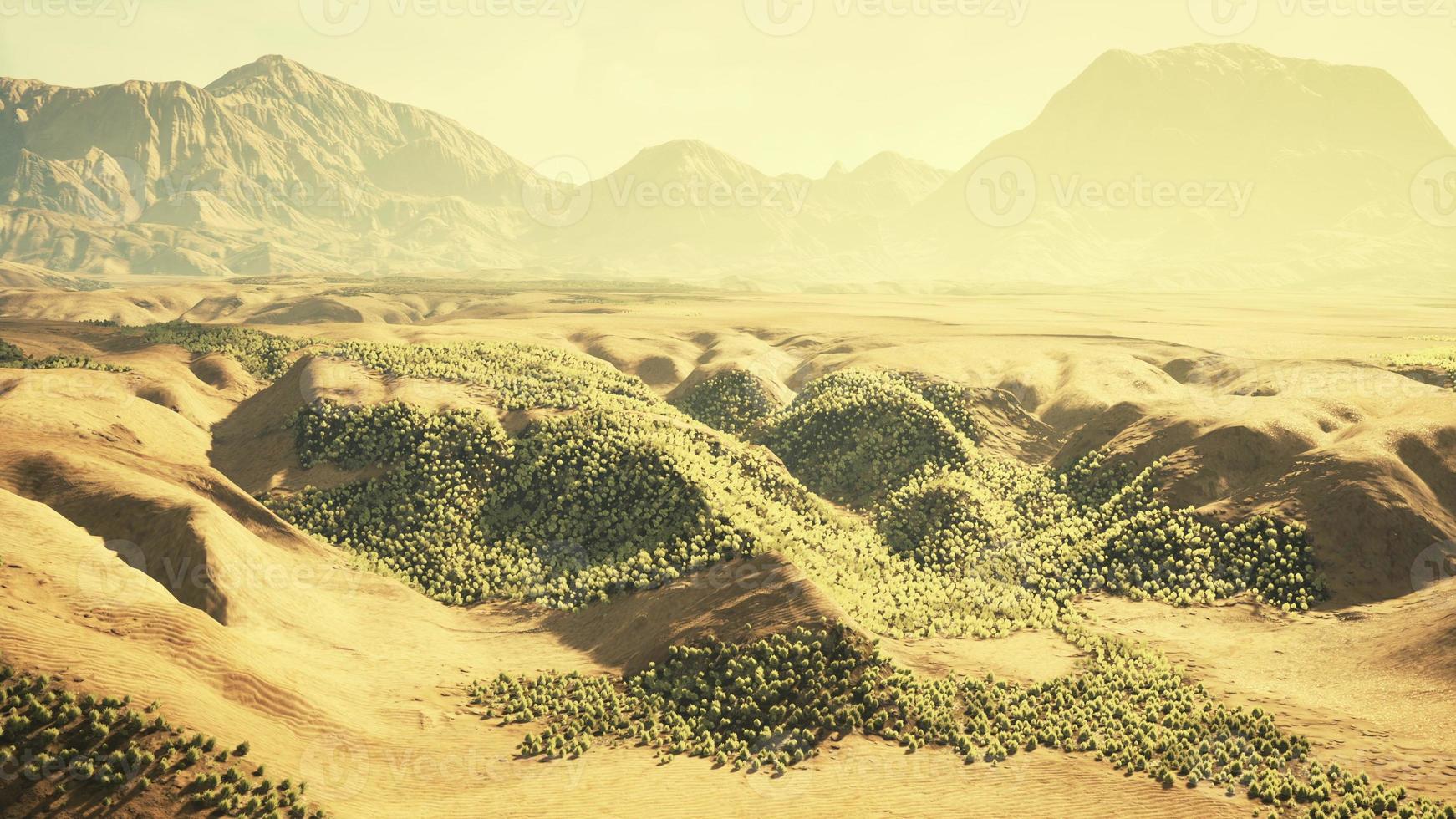 veduta aerea del deserto del Sahara foto