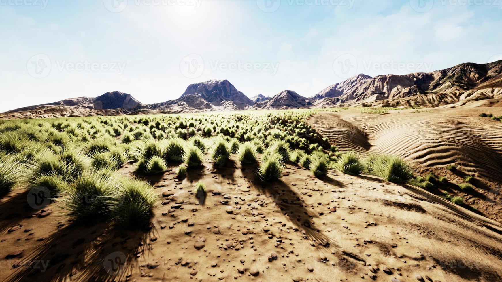 deserto pietroso nell'entroterra australiano foto