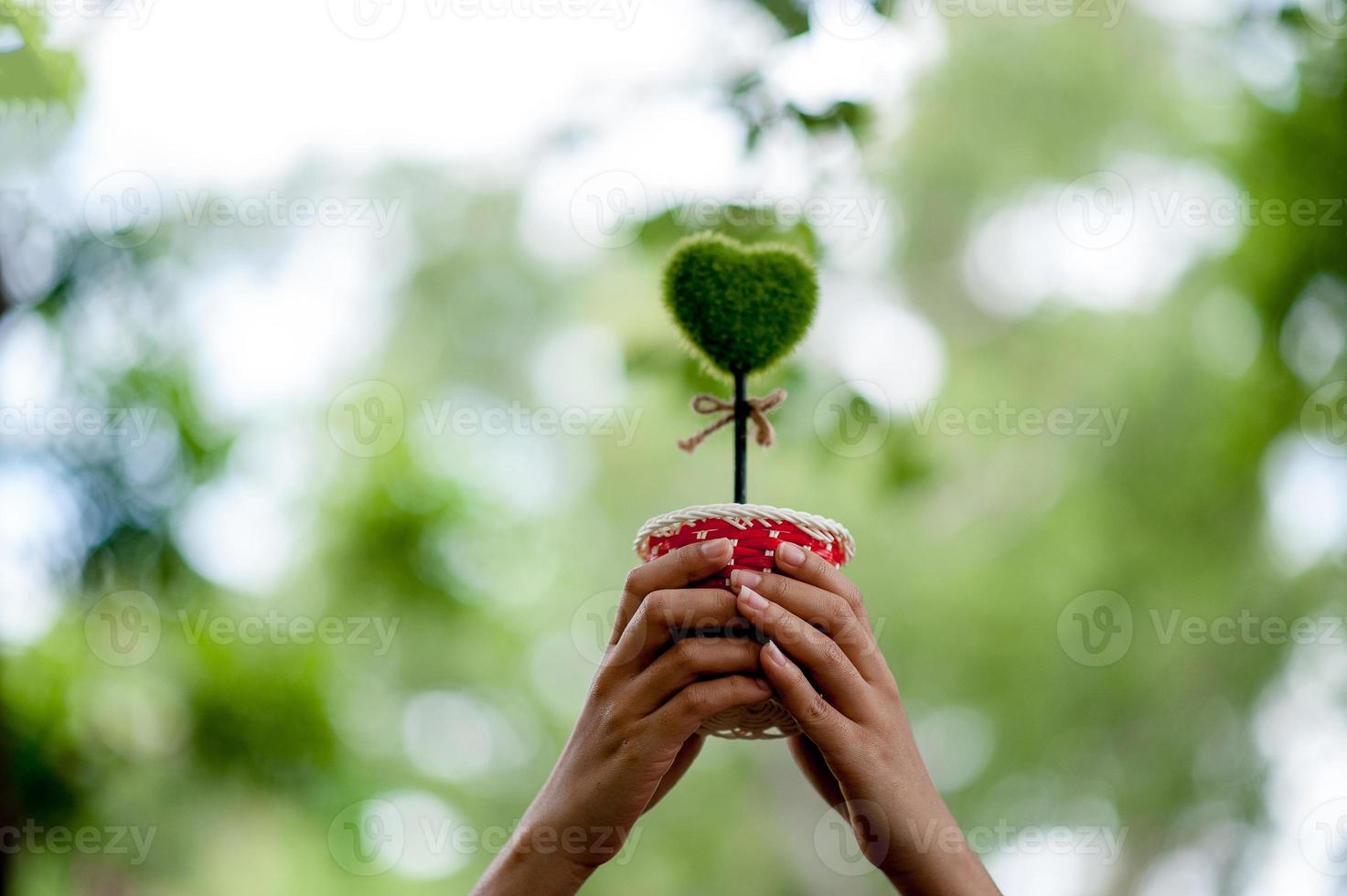 belle immagini verdi della mano e del cuore concetto di San Valentino con lo spazio della copia foto