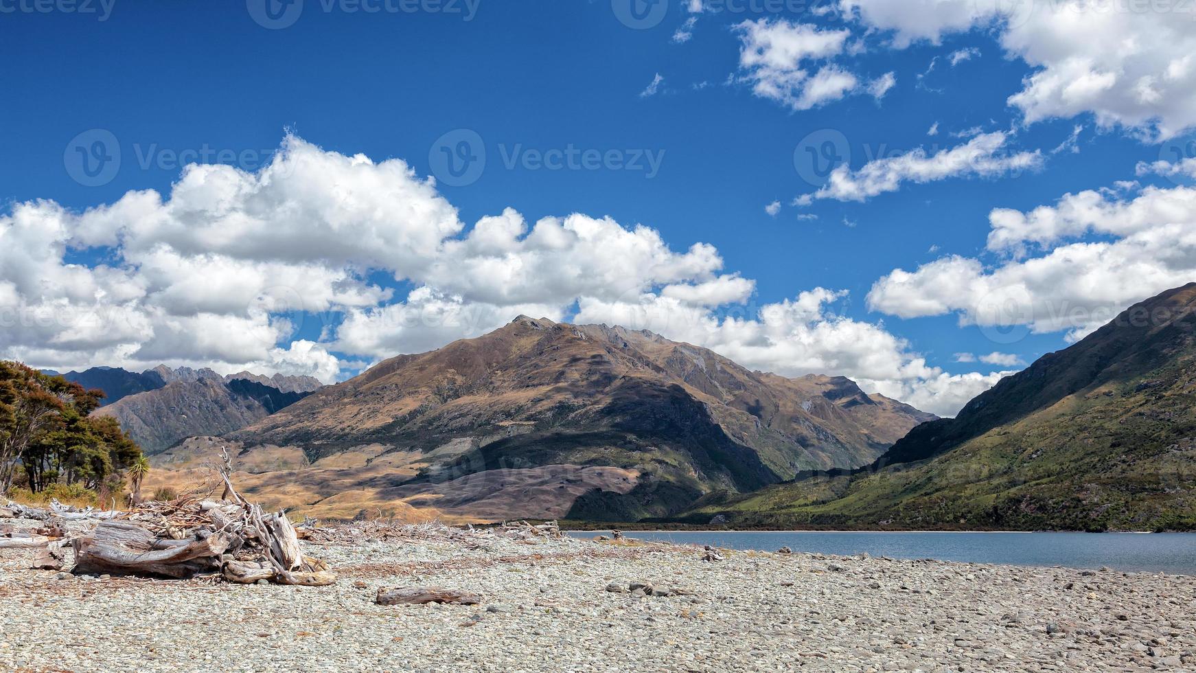 legni sulla riva del lago wanaka foto