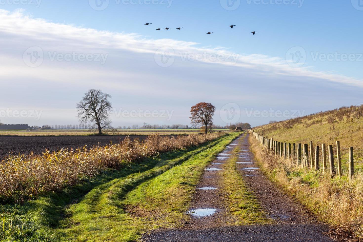 paesaggio vicino a ely foto