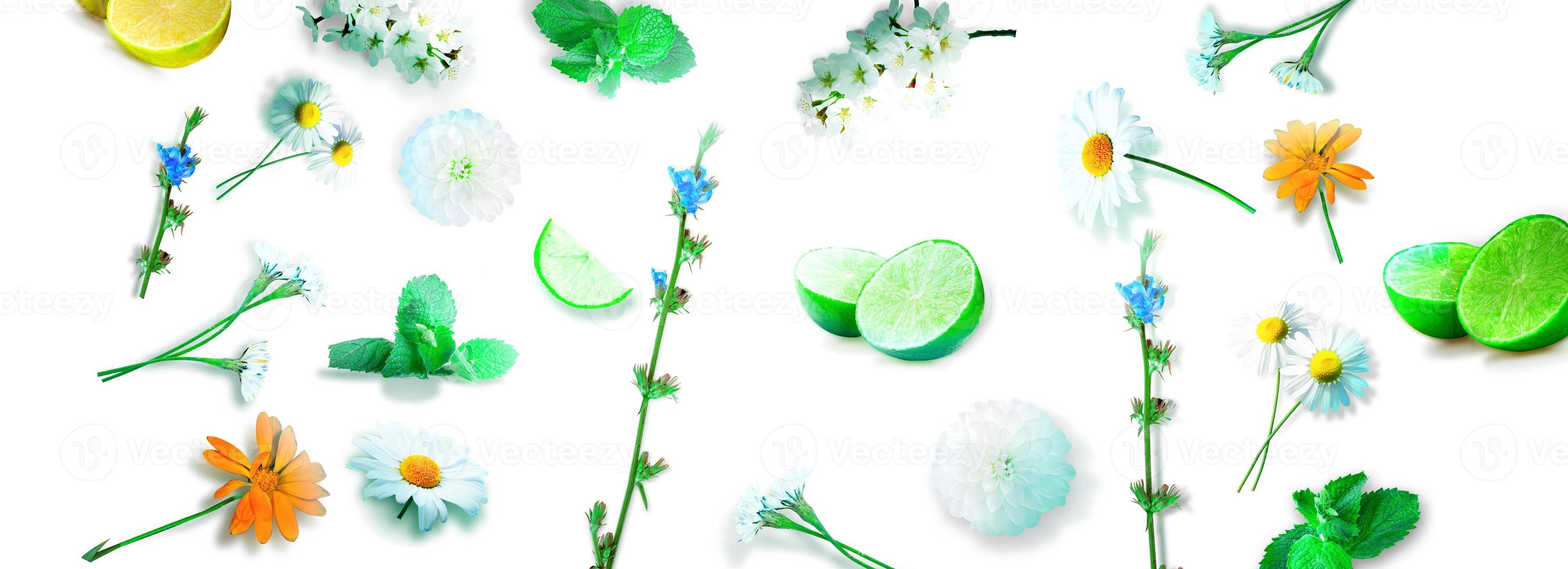 fiori ed erbe aromatiche. composizione floreale creativa primaverile. foto