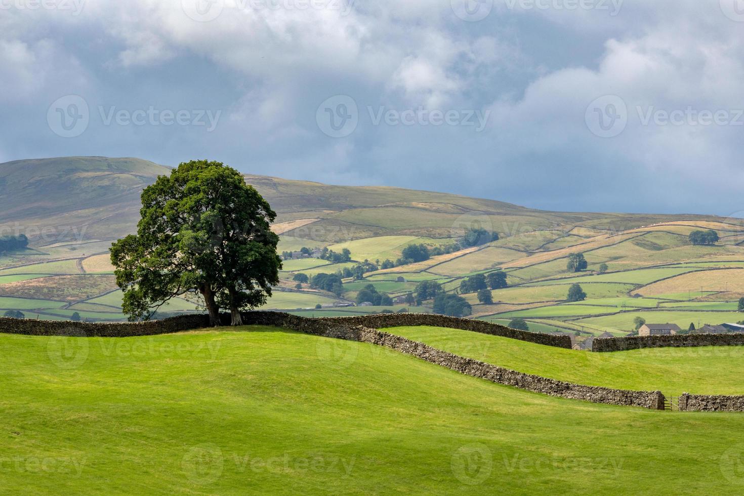 vista delle dolci colline nel parco nazionale delle valli dello yorkshire vicino a hawes foto