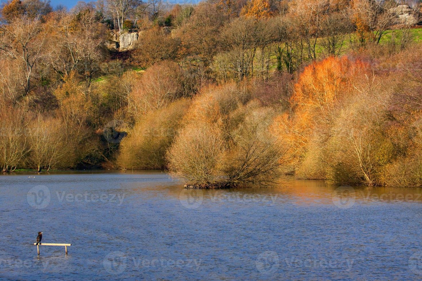 Weir Wood reservoir vicino a East grinstead foto