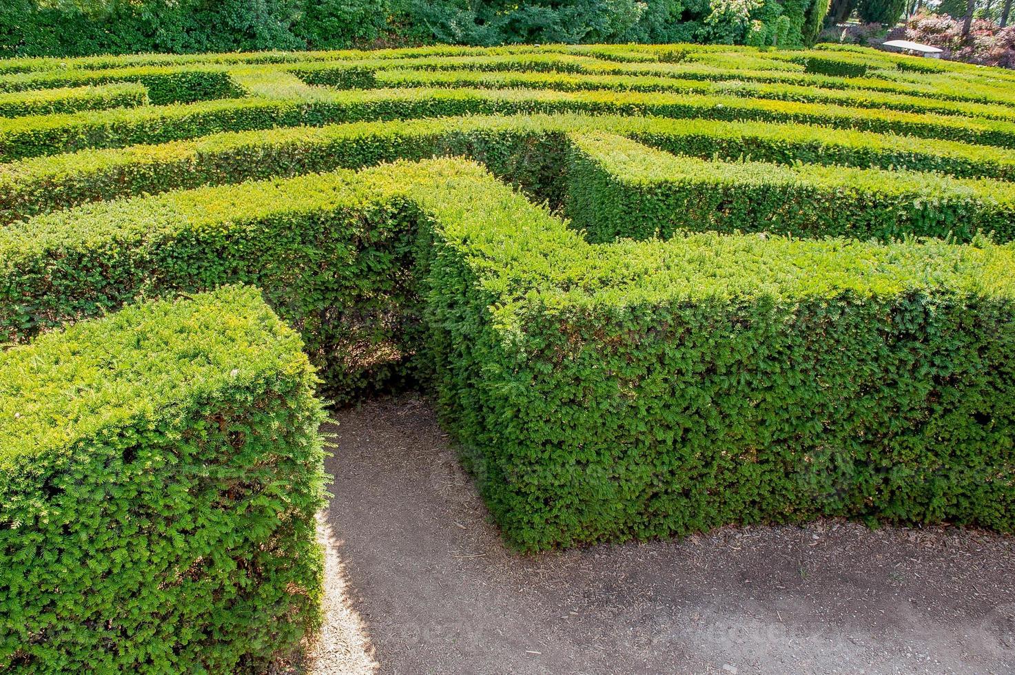 labirinto nel giardino botanico foto