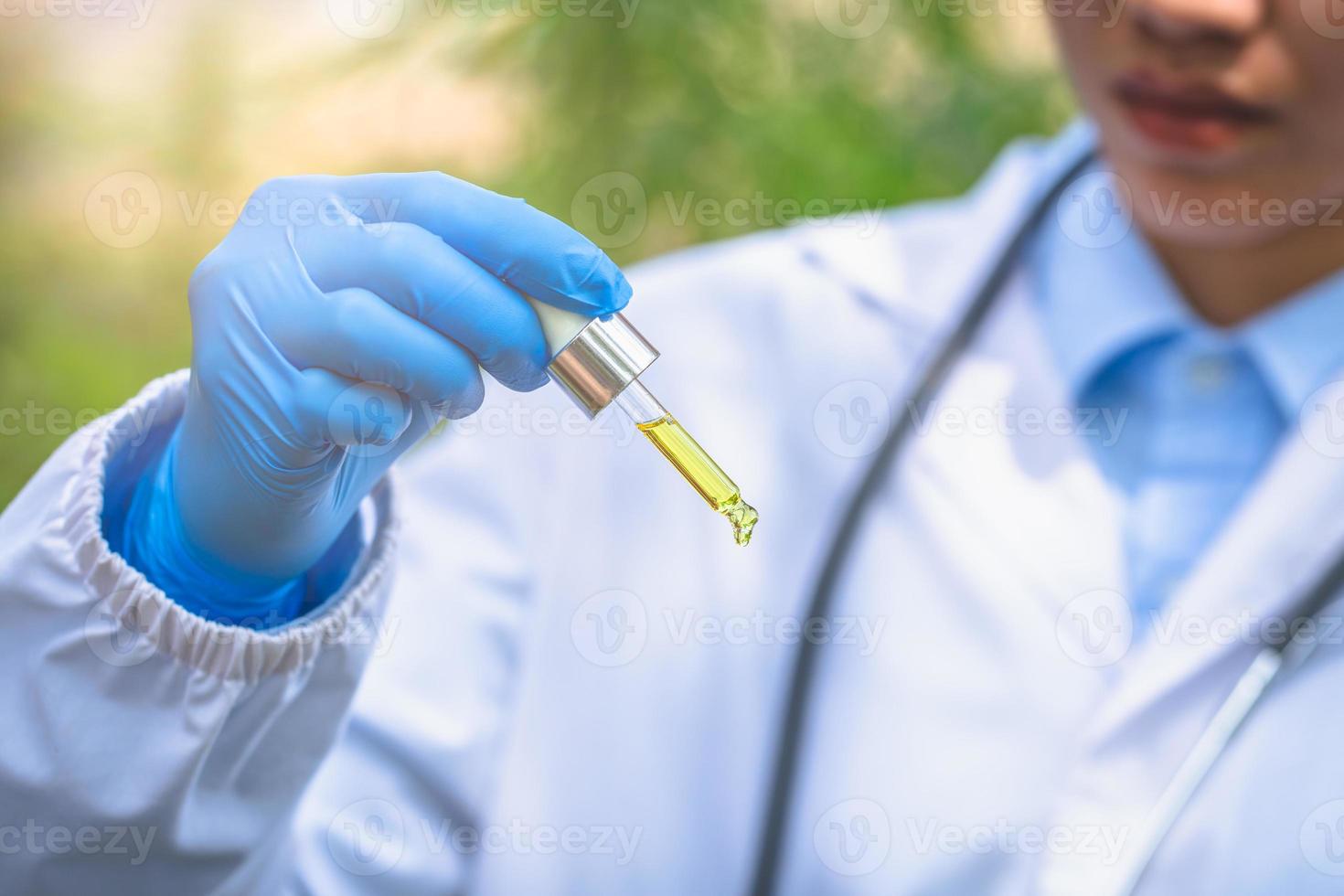 medico che controlla e analizza con una gocciolina una pianta di canapa biologica ed ecologica utilizzata per l'olio di cbd farmaceutico a base di erbe in un laboratorio. foto