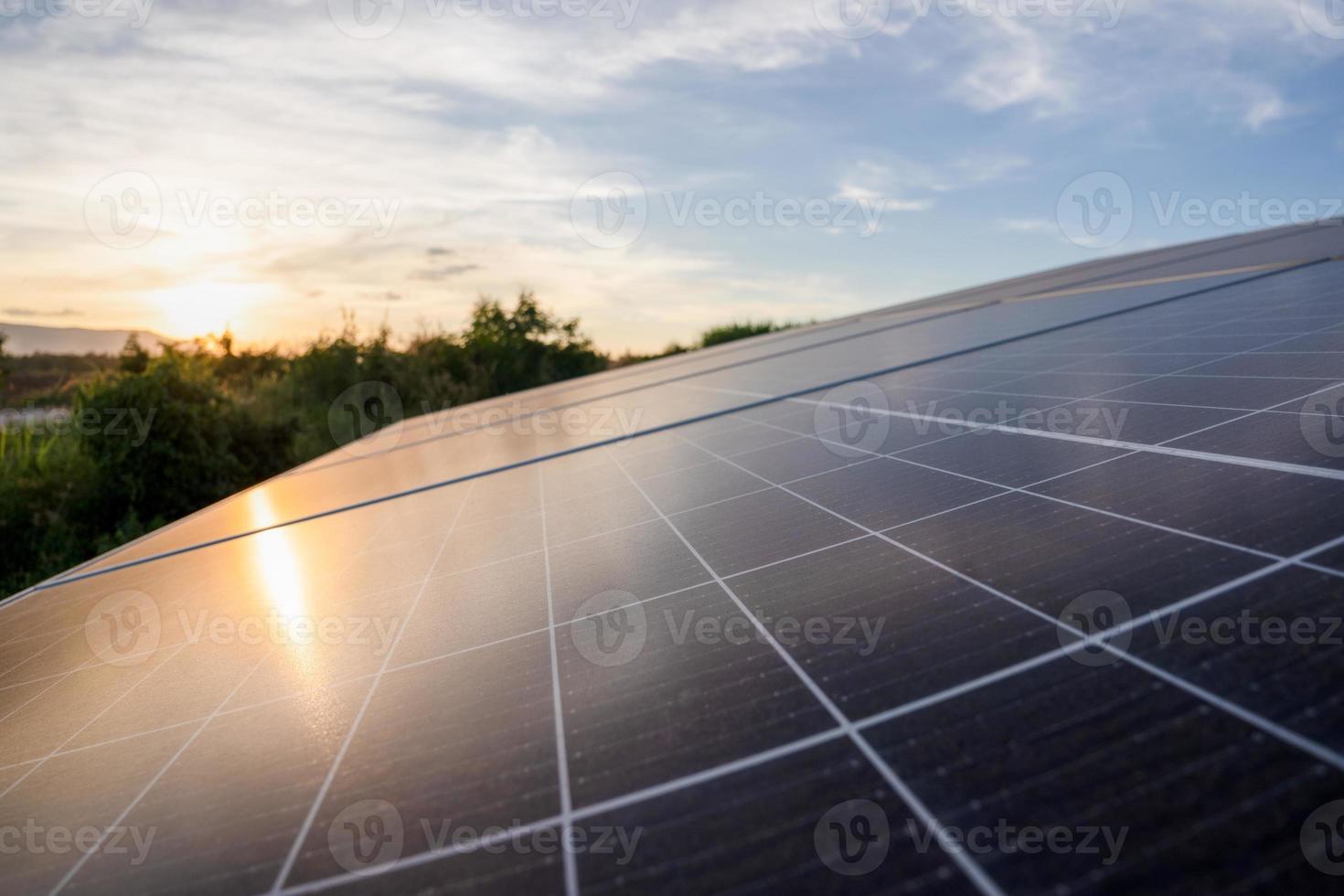 energia solare nella piantagione di zucchero, energia verde foto