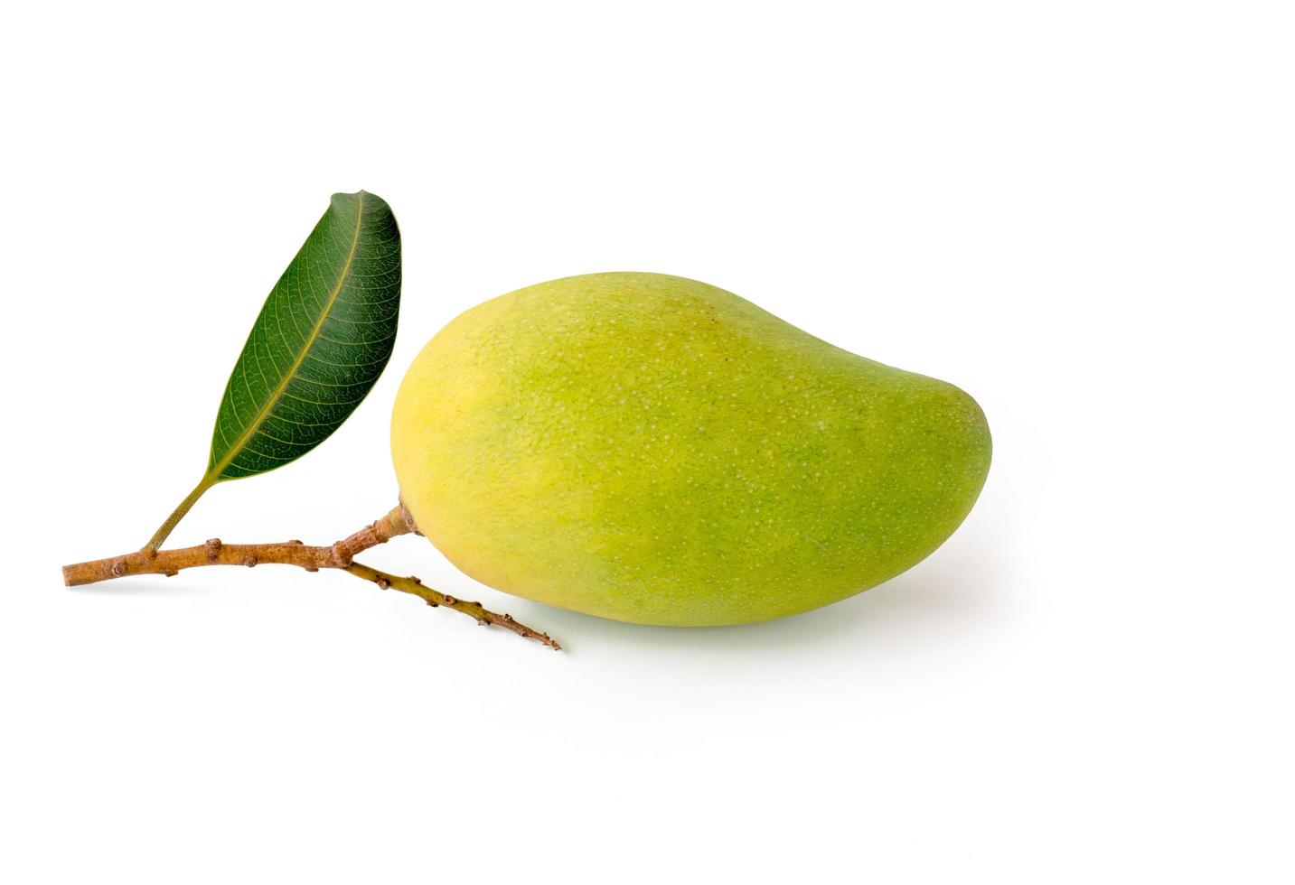 frutto di mango verde isolato foto