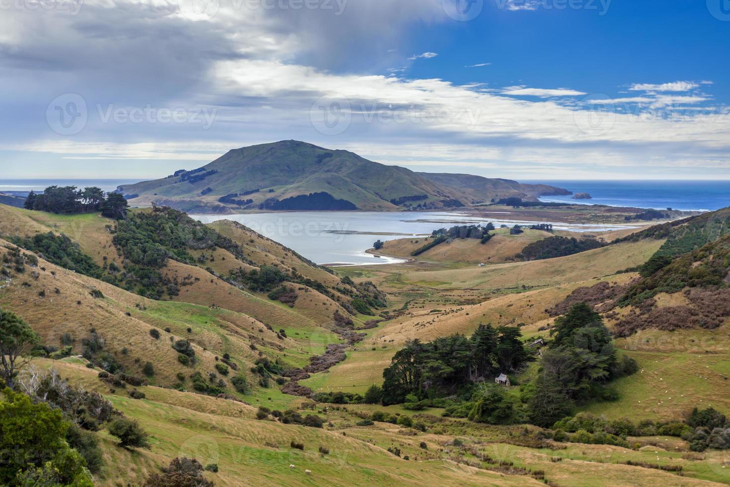 la penisola di otago in Nuova Zelanda foto