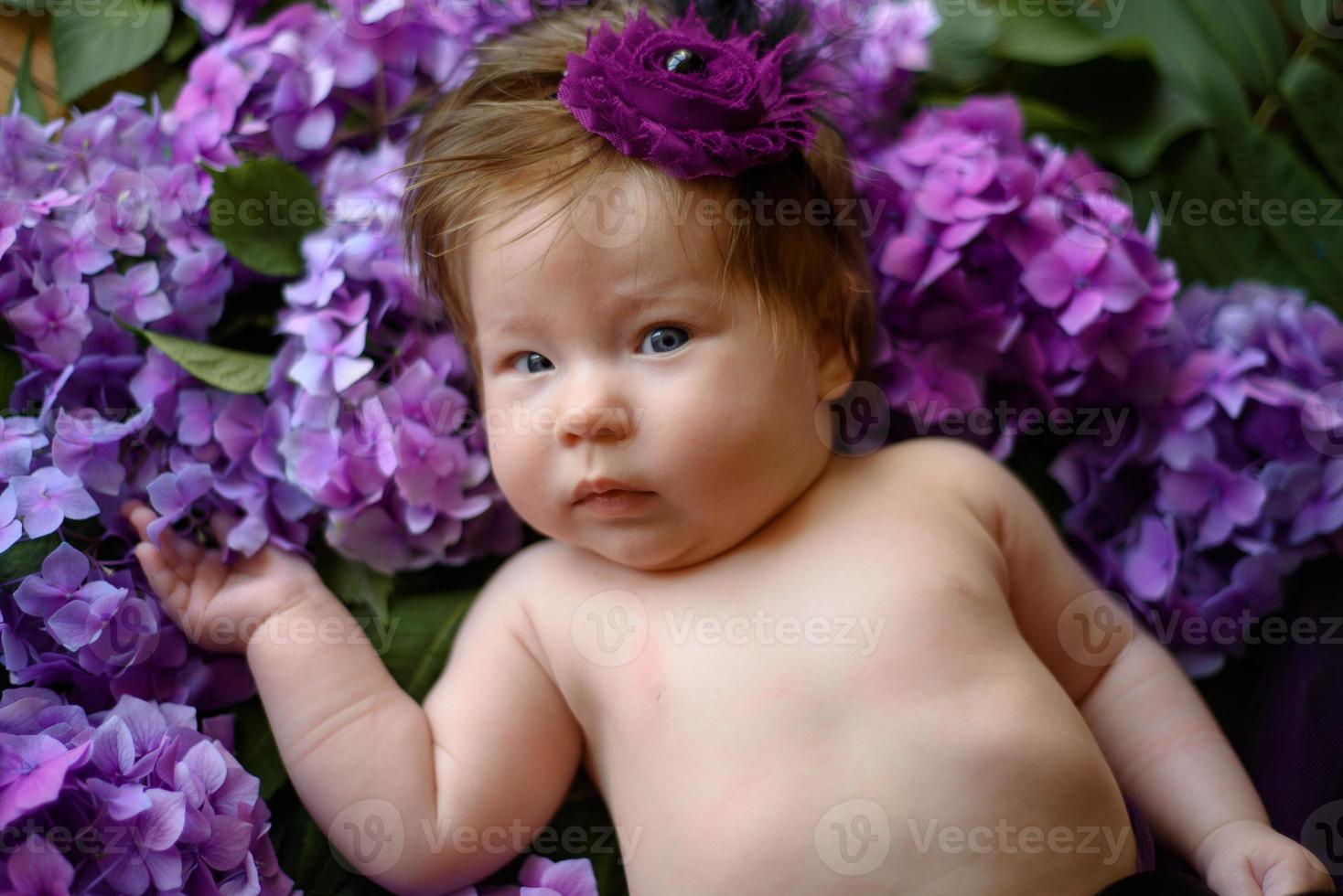 ritratto di una bambina carina. il bambino giace nei colori dell'ortensia viola foto