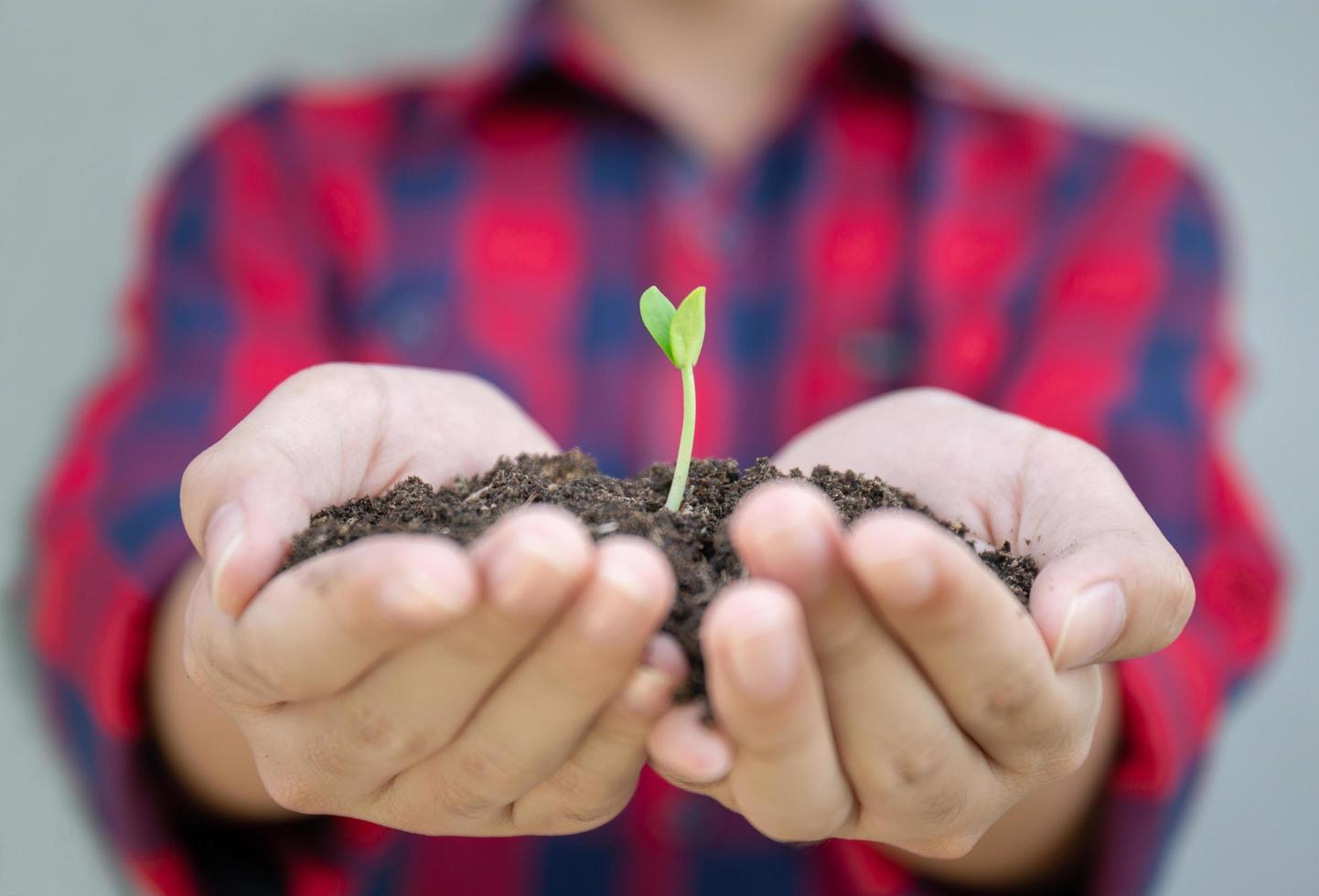 giovane ragazzo che tiene giovane pianta sul terreno nelle mani. concetto di ecologia foto