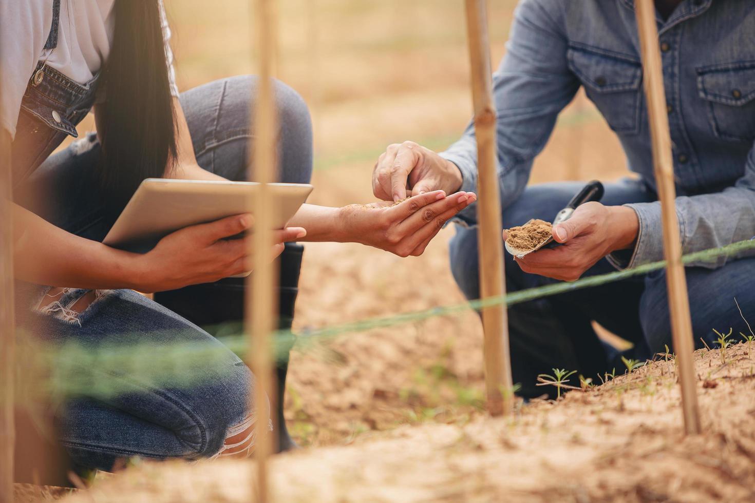 il proprietario dell'agricoltore e l'agronomo sono stati consultati studiosi su come migliorare la qualità del suolo prima della semina. foto