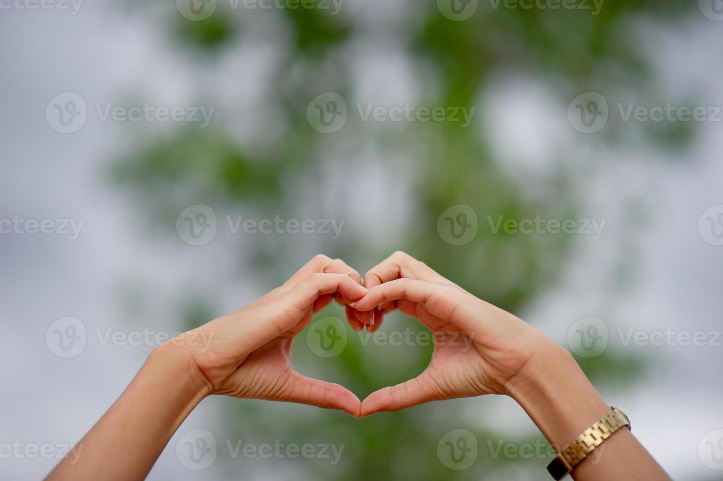 a forma di cuore fatto a mano per i propri cari nel giorno dell'amore foto