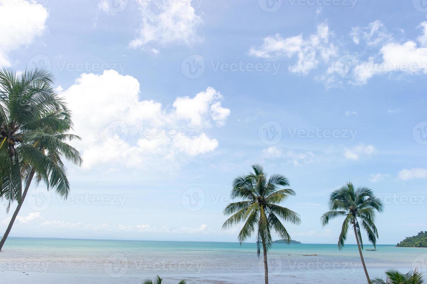 alberi di cocco e bellissimo mare e nuvole piene di cielo foto