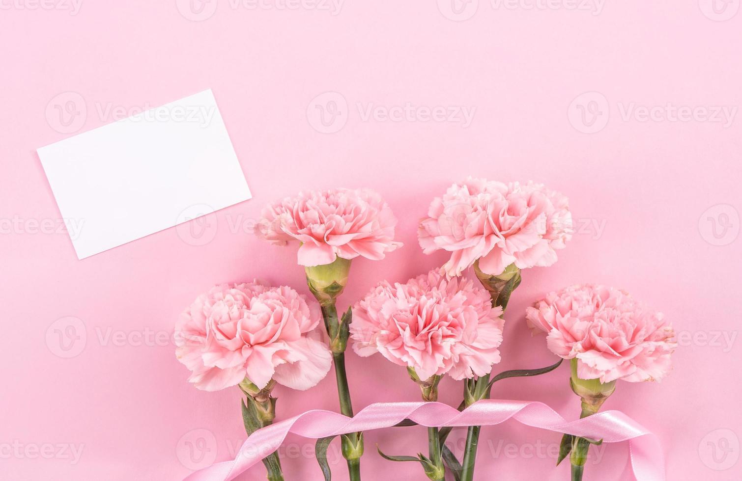 vista dall'alto, flay lay, copia spazio, primo piano, mock up, festa della mamma grazie al concetto di design. bellissimi garofani di colore rosa baby in fiore fresco isolati su sfondo rosa brillante foto