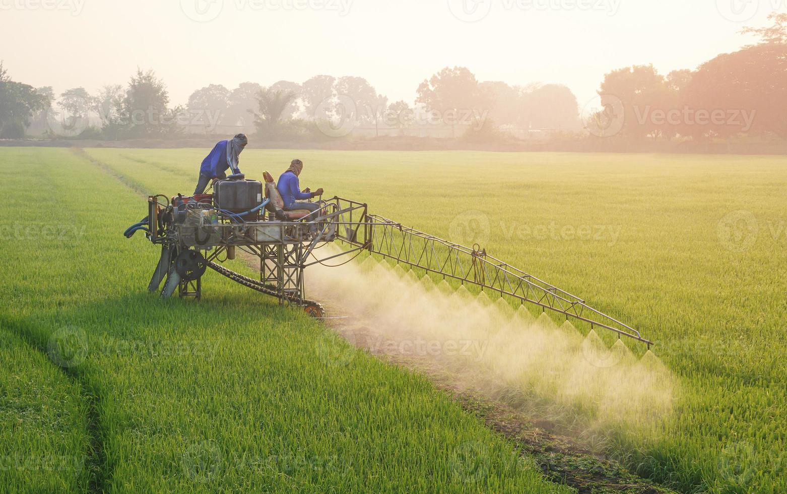 due agricoltori asiatici su trattore spruzzatore che spruzzano prodotti chimici e fertilizzanti in una risaia verde al mattino, tecnologia nel concetto di agricoltura foto