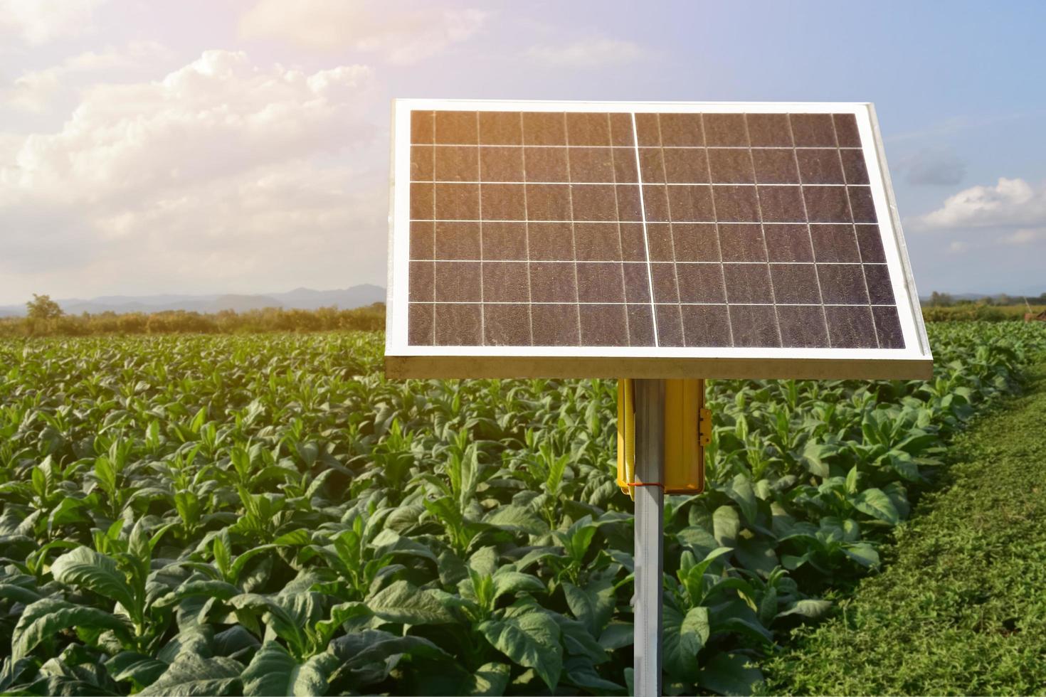 pannello fotovoltaico, nuova tecnologia per conservare e utilizzare l'energia della natura con la vita umana, l'energia sostenibile e il concetto di amico ambientale. foto