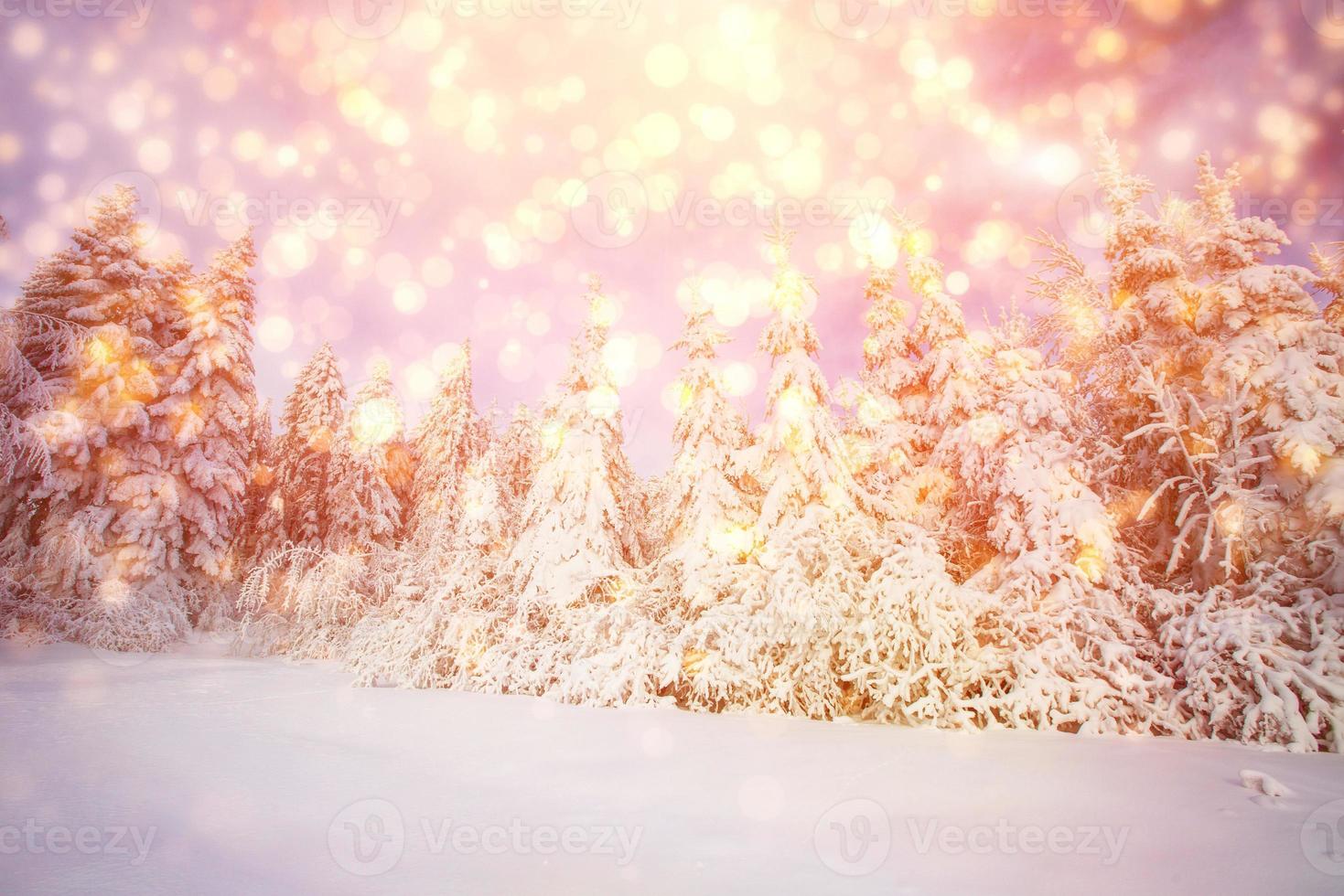 paesaggio invernale alberi innevati, sfondo bokeh con fiocco di neve foto