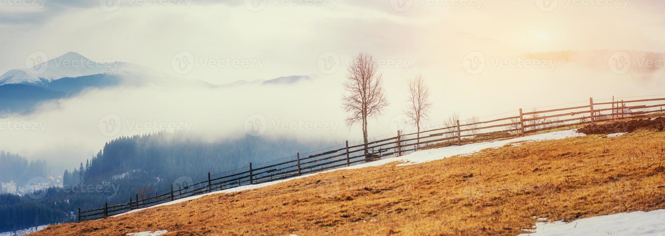 ultimi giorni d'inverno in montagna ucraina, fitta nebbia. foto