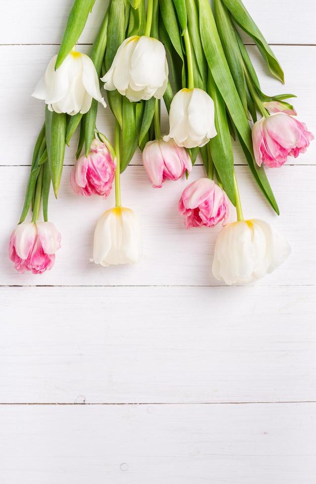 bei tulipani su fondo di legno bianco. umore primaverile foto