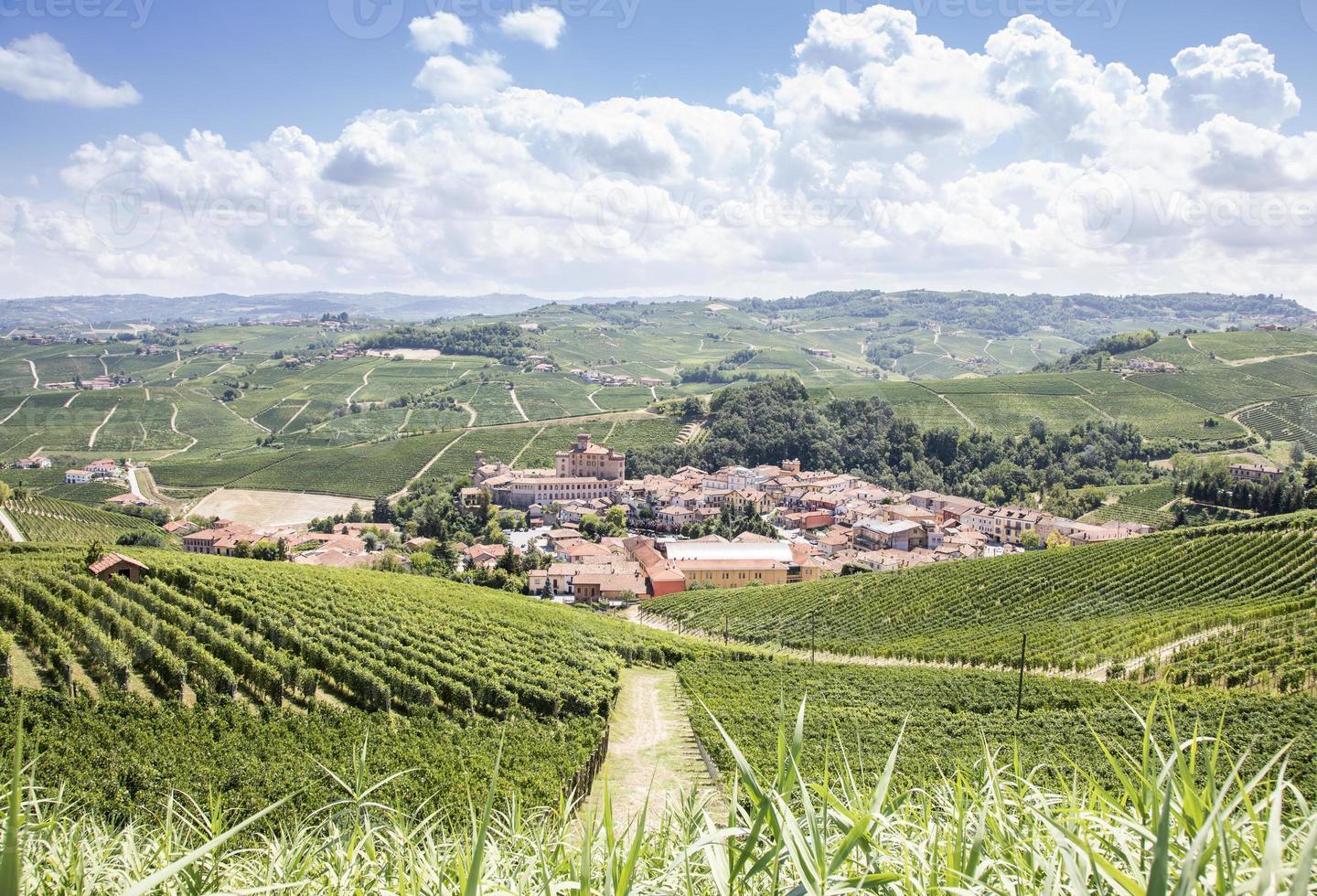 campagna panoramica in regione piemonte, italia. panoramica collina dei vigneti con il famoso castello del barolo. foto