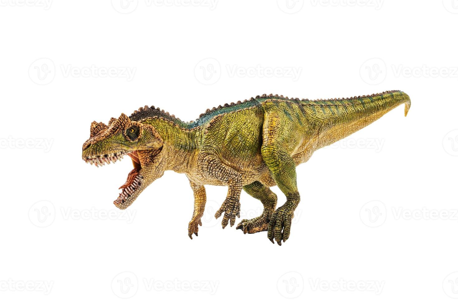 ceratosaurus, dinosauro su sfondo bianco foto