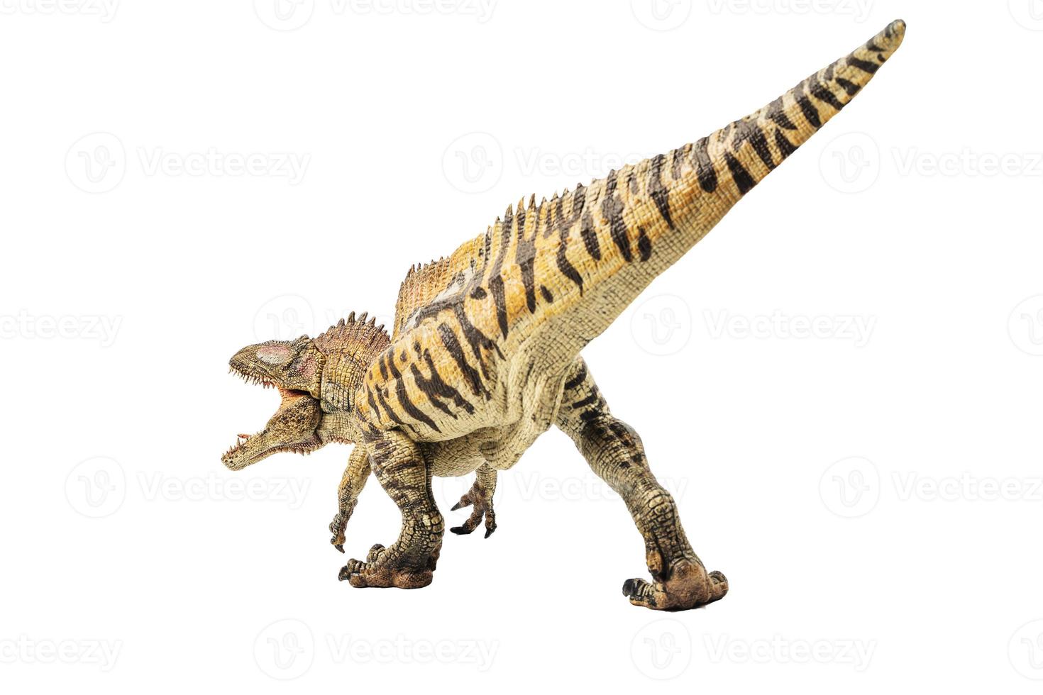acrocanthosaurus, dinosauro su sfondo bianco foto