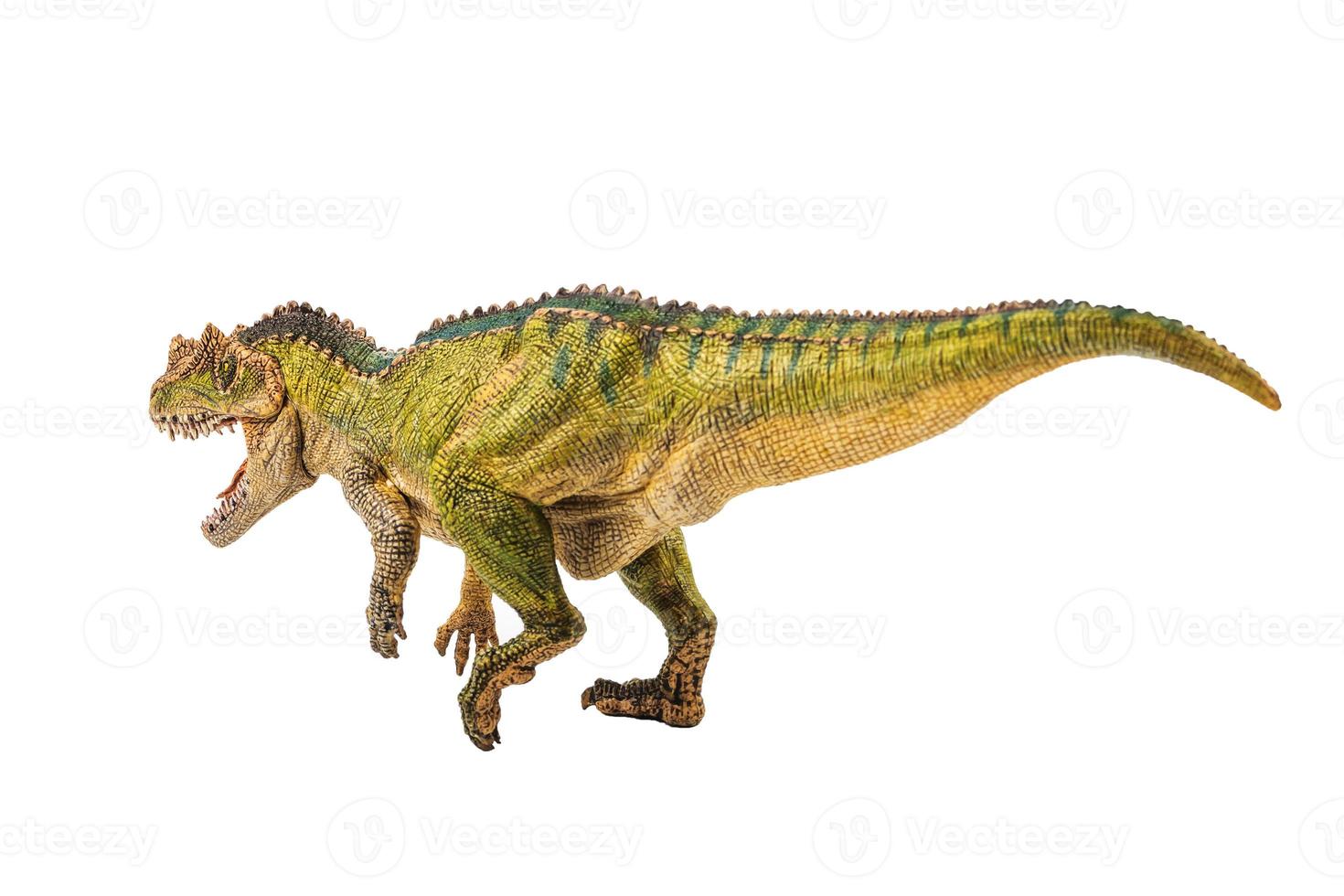 ceratosaurus, dinosauro su sfondo bianco foto
