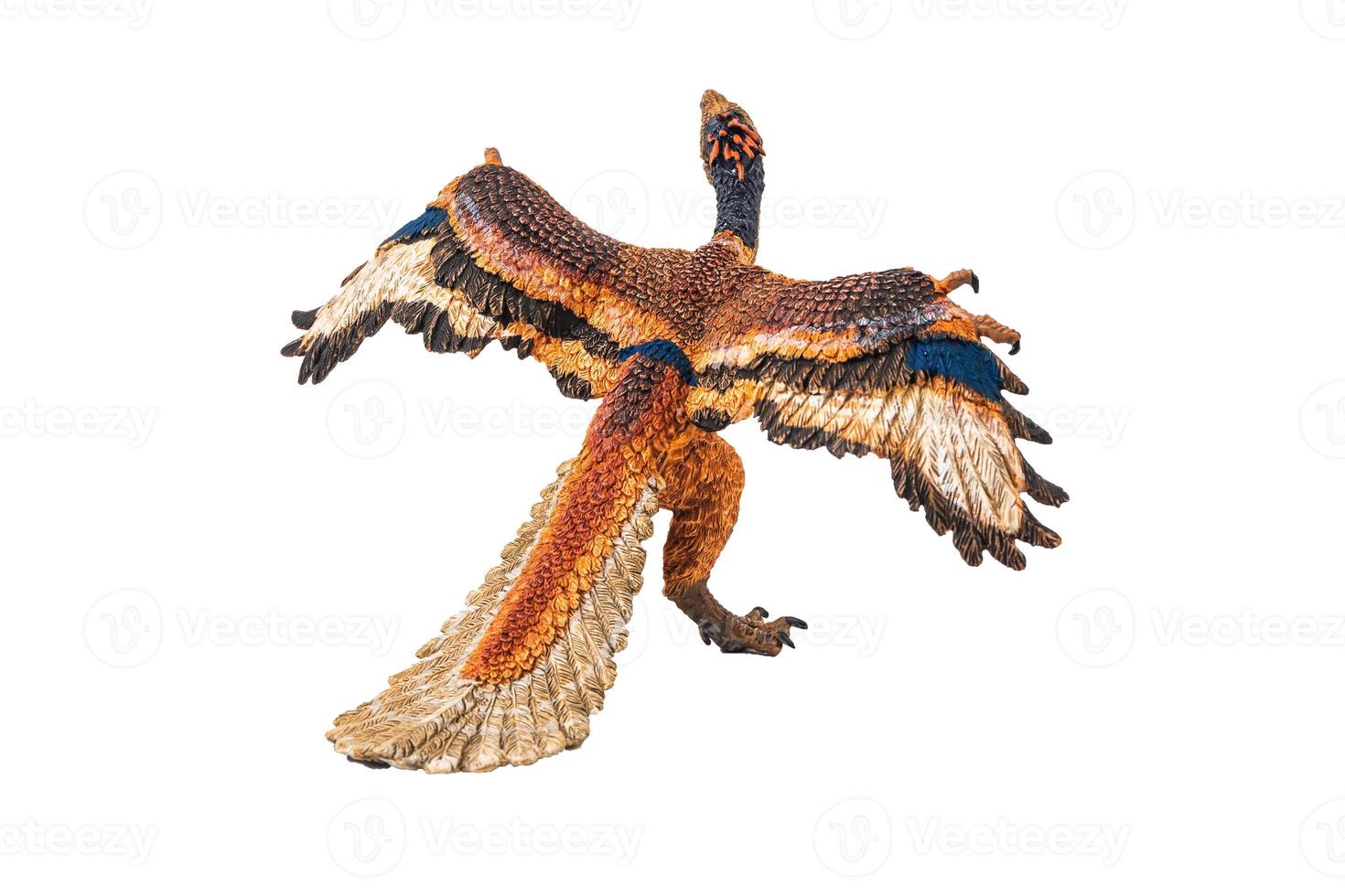 archeopteryx, dinosauro su sfondo bianco foto