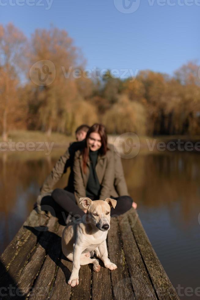 coppia adorabile che trascorre la giornata autunnale all'aperto foto