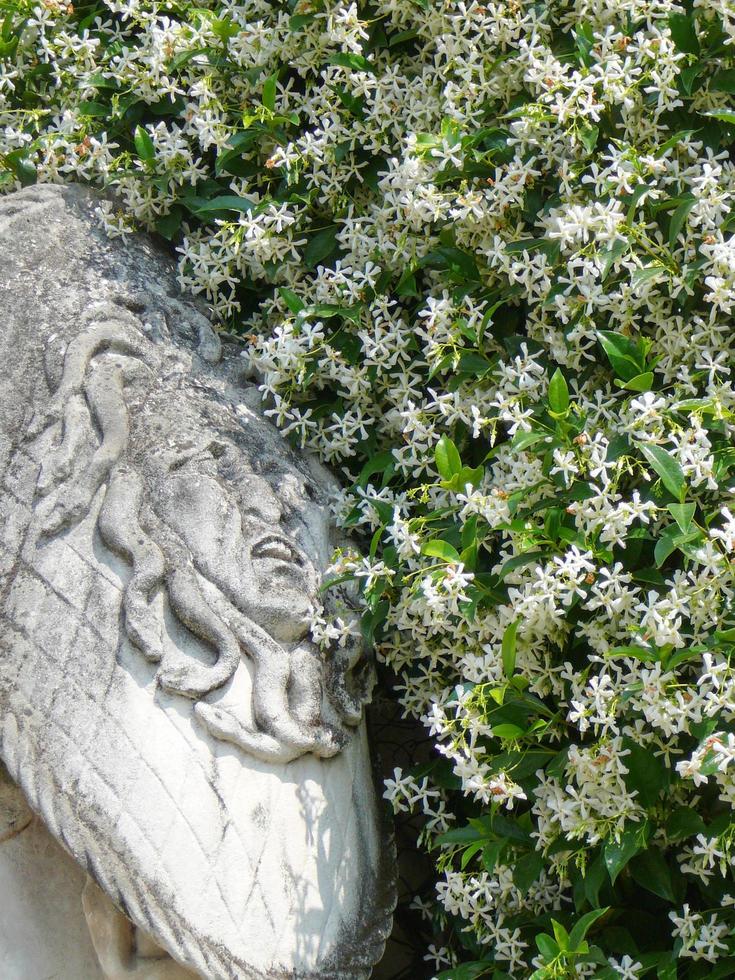 antica villa pisani giardino a padova padova in veneto, nord foto