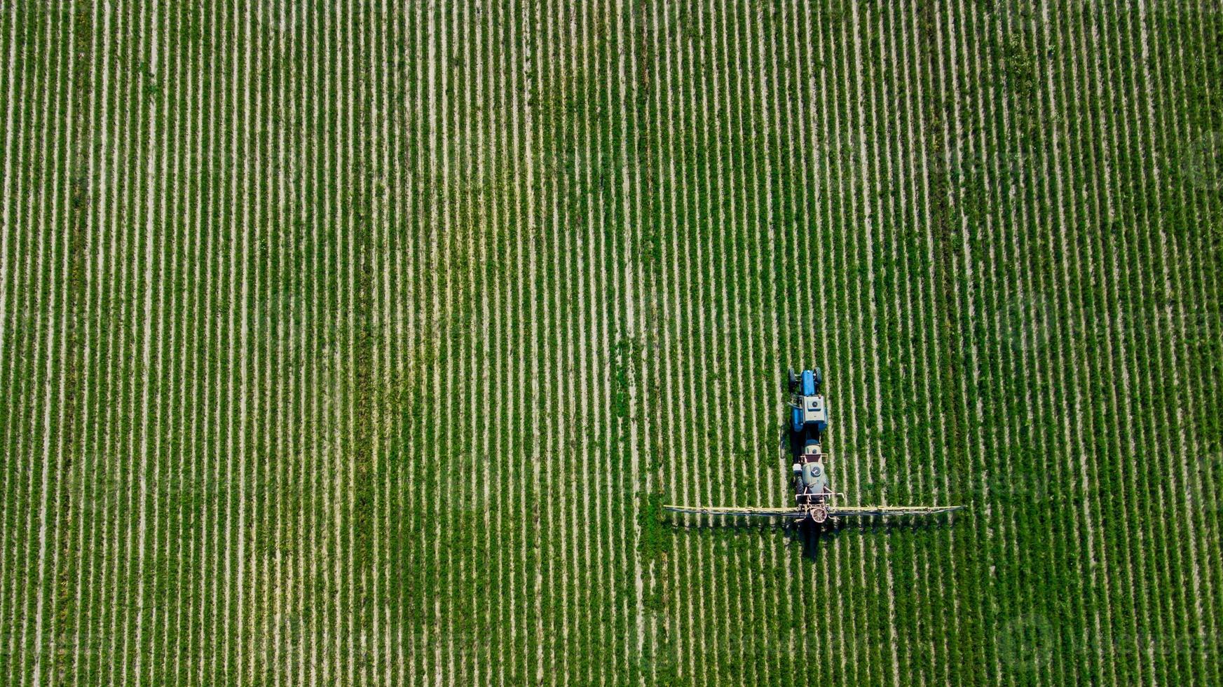vista aerea dell'irroratrice agricola che lavora sul campo verde in una giornata di sole foto