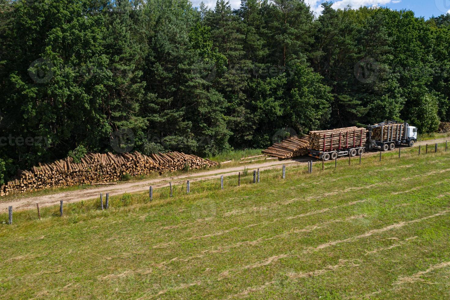 vista dall'alto di deforestazione e disboscamento. i camion portano via i tronchi. industria forestale. foto