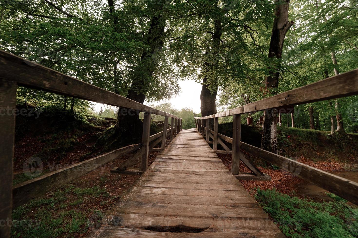 ponte di legno rustico nella foresta verde dei Carpazi foto