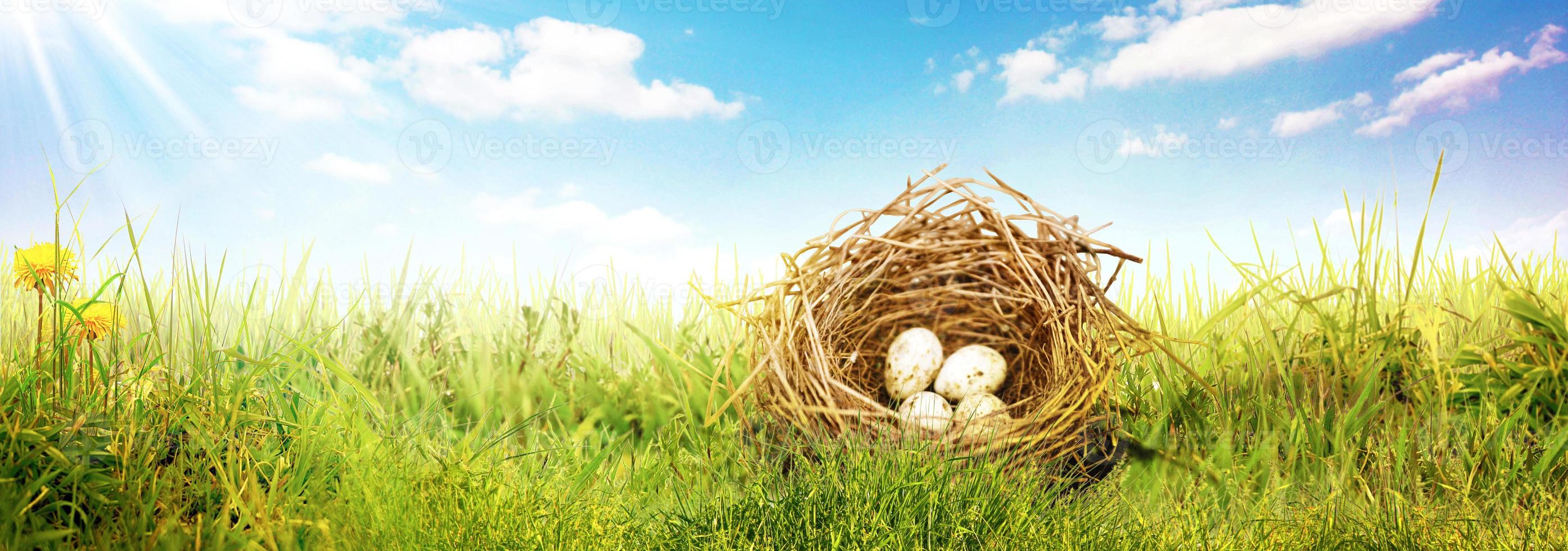 bellissimo sfondo di Pasqua con uova di Pasqua colorate foto
