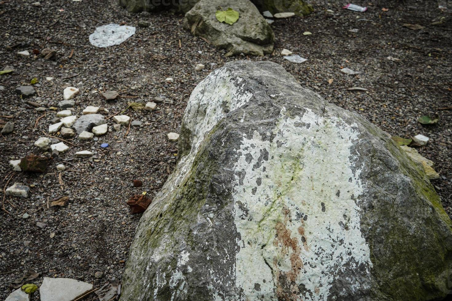una grande immagine di pietra nella foresta foto