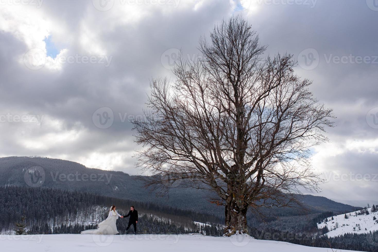 lo sposo conduce la sua sposa per mano a un vecchio faggio solitario. matrimonio invernale. posto per un logo. foto