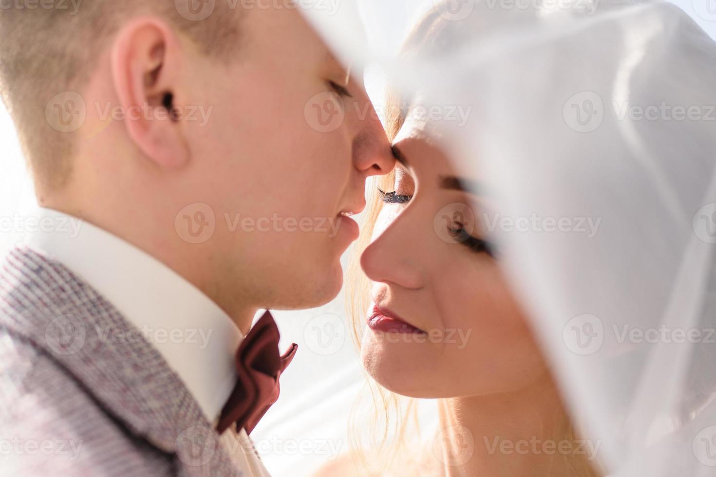 lo sposo conduce la sua sposa per mano a un vecchio faggio solitario. matrimonio invernale. posto per un logo. foto