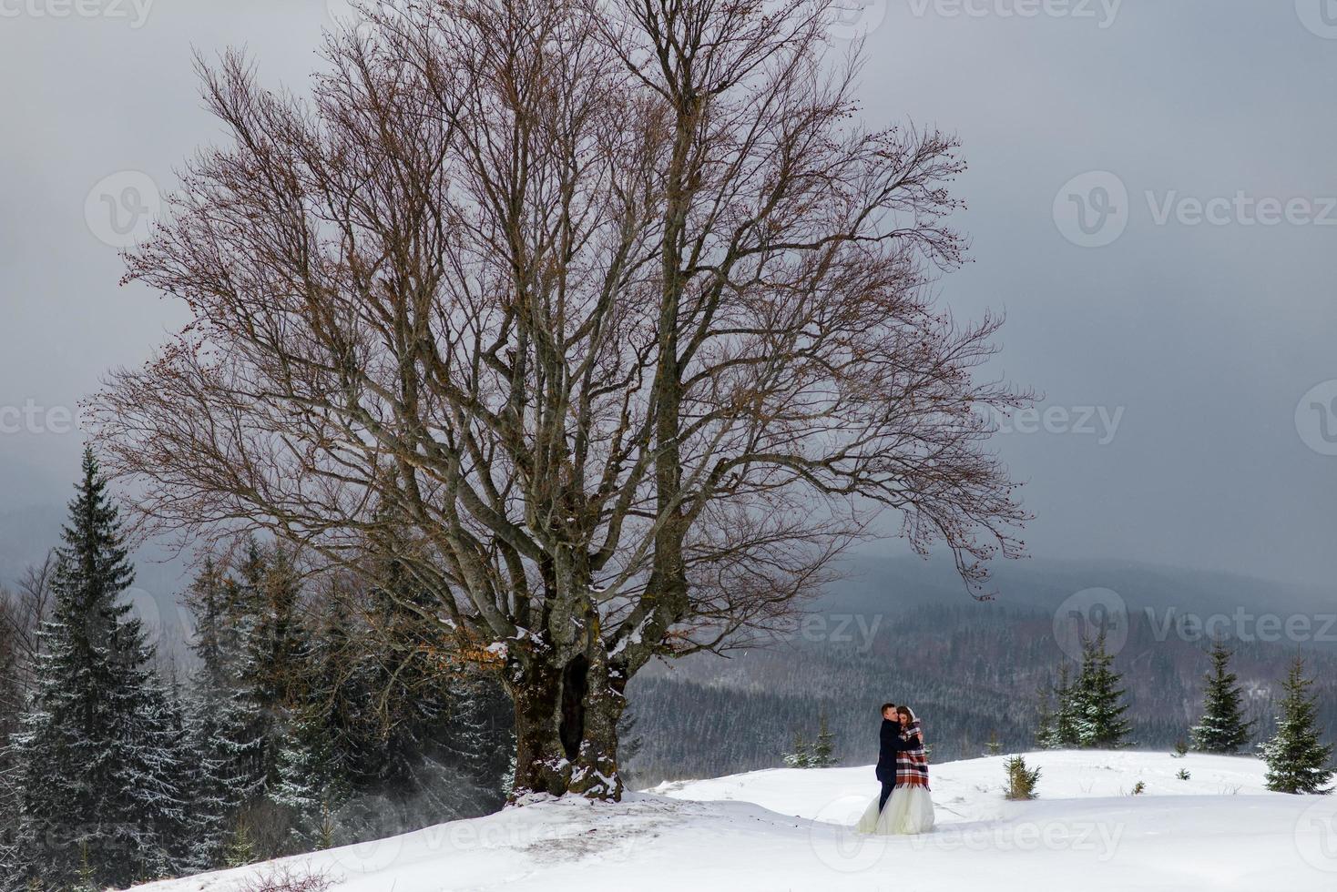 lo sposo conduce la sua sposa per mano a un vecchio faggio solitario. matrimonio invernale. posto per un logo. foto