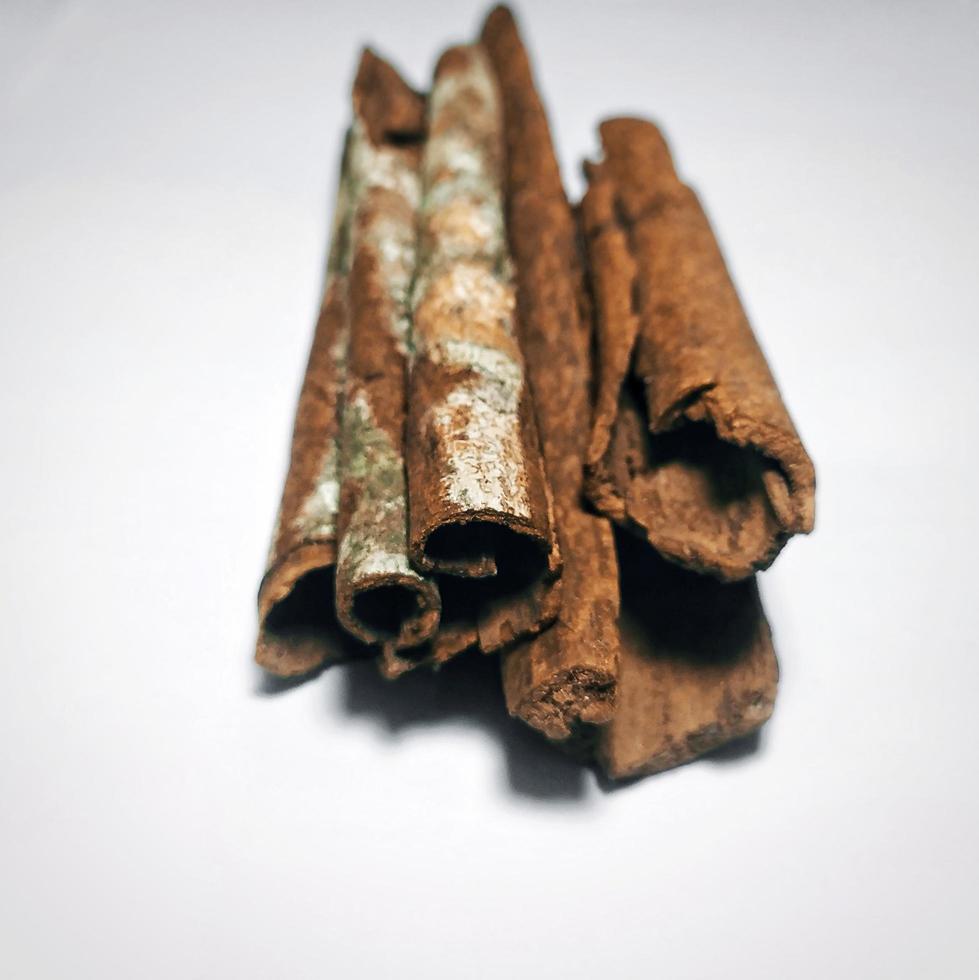 potrait di corteccia di cinamon, da cinnamomum zeylanicum o cinnamum verum. foto