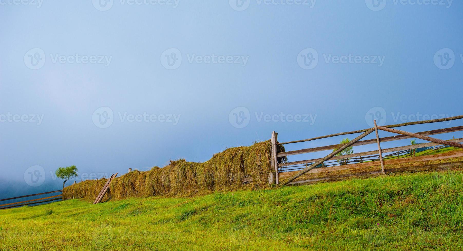 paesaggio estivo colorato foto