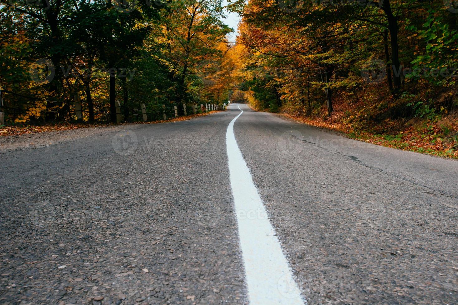 paesaggio autunnale della strada foto