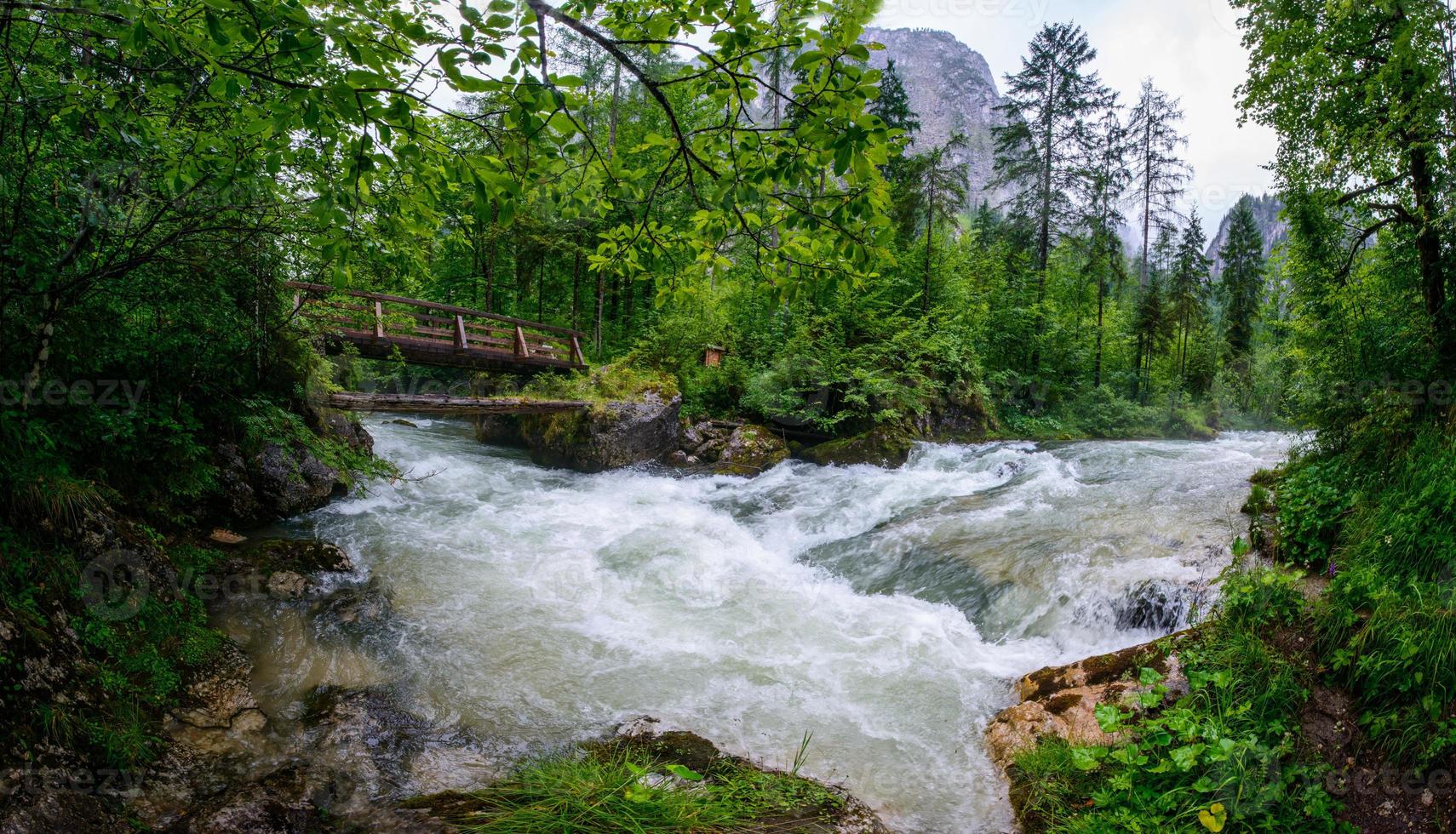 fiume turbolento attraverso i boschi foto