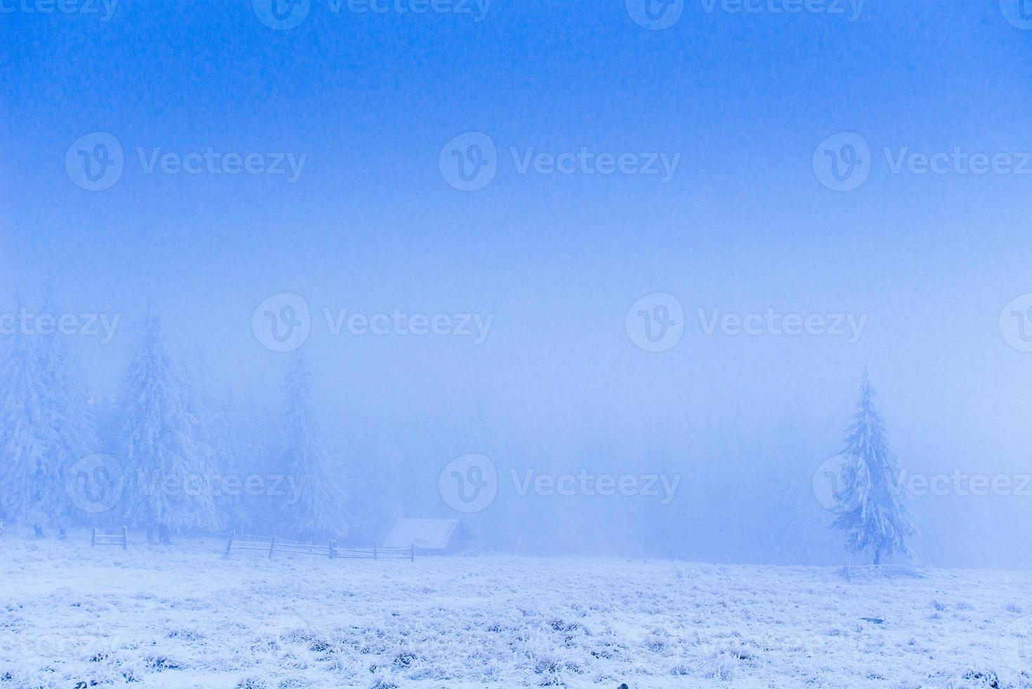 nebbia in montagna foto