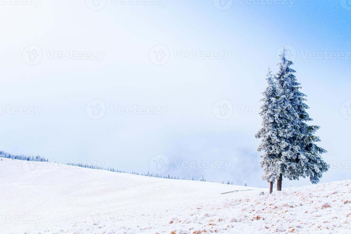 meraviglioso paesaggio invernale foto