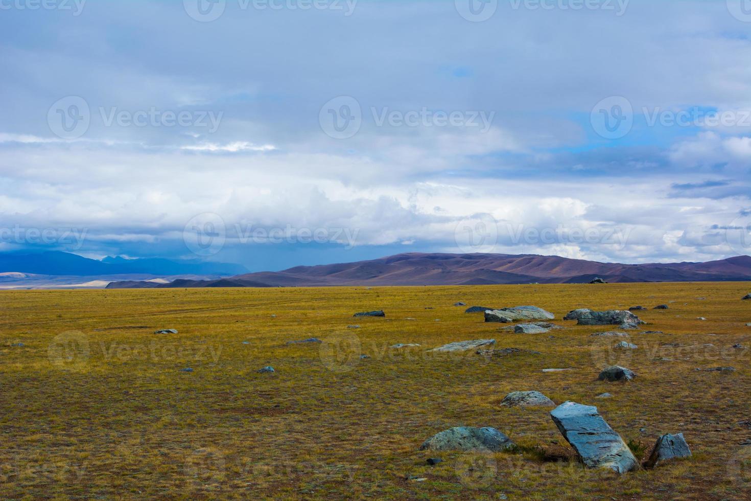 paesaggio della steppa con grande pietra foto